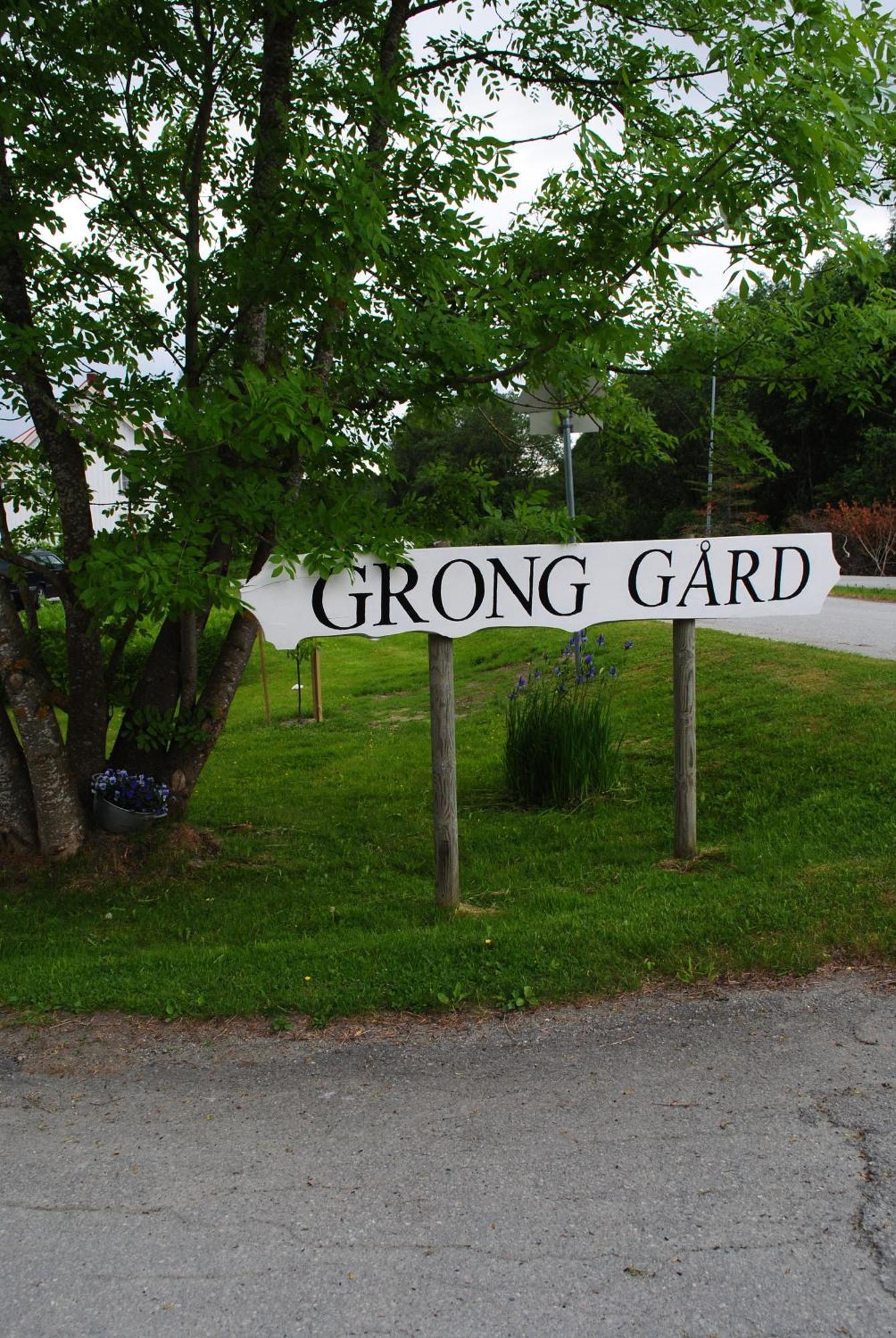Grong Gard Guesthouse Екстер'єр фото